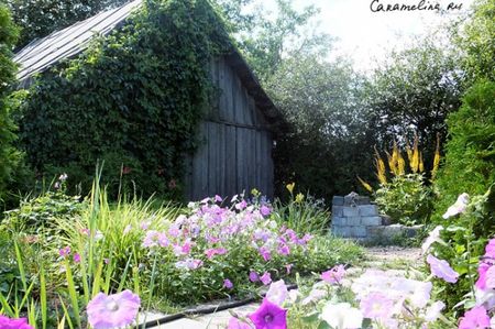DSCF0247-600x399.jpg