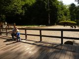 P1080896-600x450.jpg