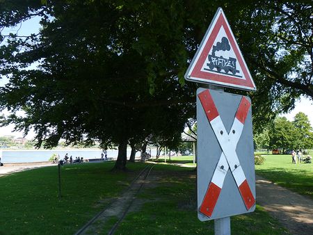 P1100142.jpg