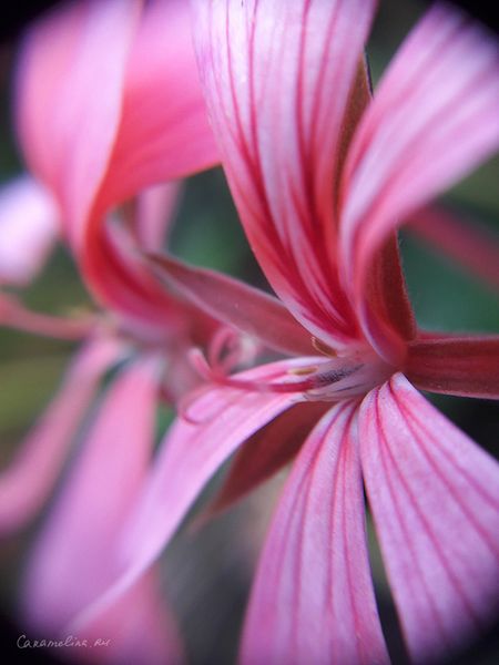 20170627_085507.jpg