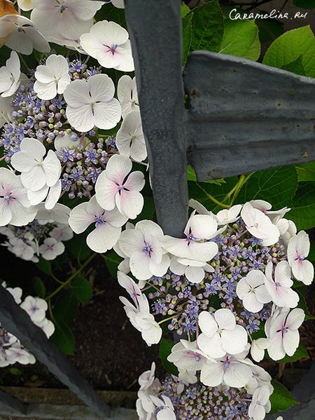 20170703_152405.jpg