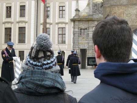 IMG_1648.jpg