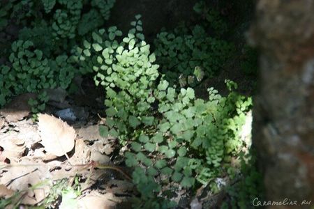 0_53c19_bee65175_XL.jpg