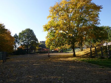 P1110025.jpg
